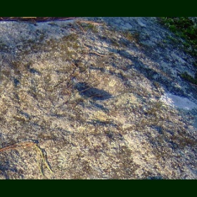 Petroglifo principal ou A da Ermida (Eiras)